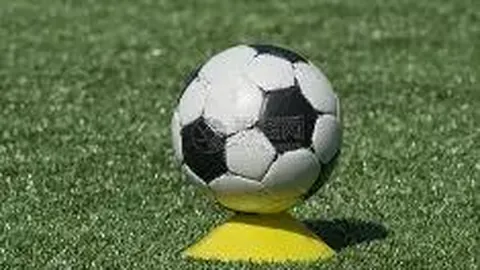 辽篮公布12人参赛名单，新星王化东成功入选