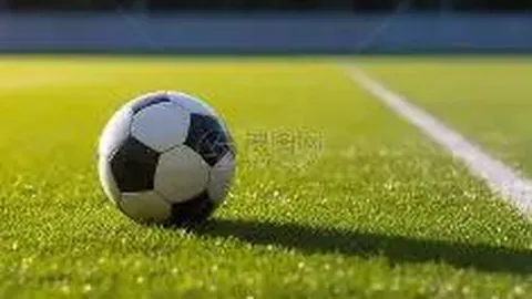 澳洲幸运10开奖结果 产品 112451 70m