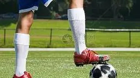 澳洲幸运10开奖结果 资讯 112404 ogt