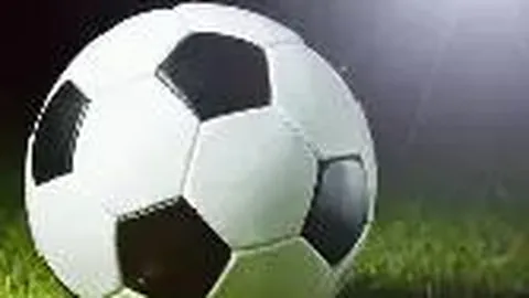 水处理领域中的二甲基二硫代氨基甲酸钠应用研究